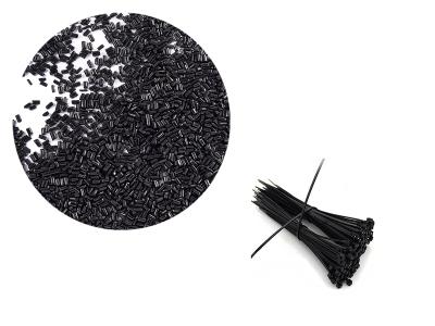 2023年第三十屆色母粒行業(yè)學術(shù)交流會圓滿落幕！??！